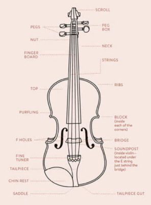 How To Choose A Violin, Bow, And String?