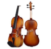  D Z Strad Violin Model 100 