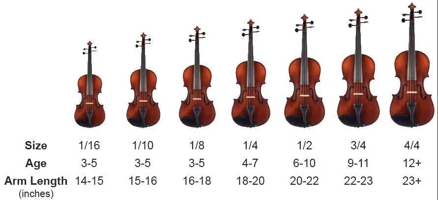 Best Violin For Beginner, Intermediate And Advanced Students In 2021 ...