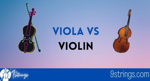 Viola vs Violin