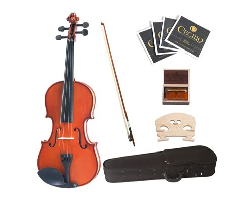 Cecilio CVN-100 Violin Review