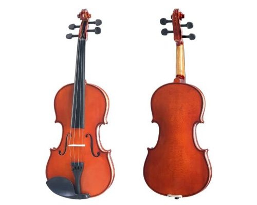 Cecilio CVN-100 Violin